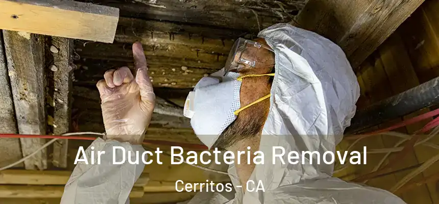 Air Duct Bacteria Removal Cerritos - CA