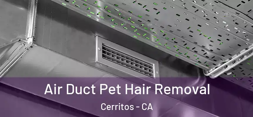  Air Duct Pet Hair Removal Cerritos - CA
