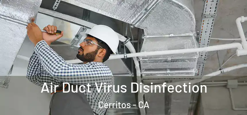  Air Duct Virus Disinfection Cerritos - CA