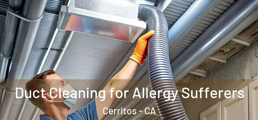  Duct Cleaning for Allergy Sufferers Cerritos - CA