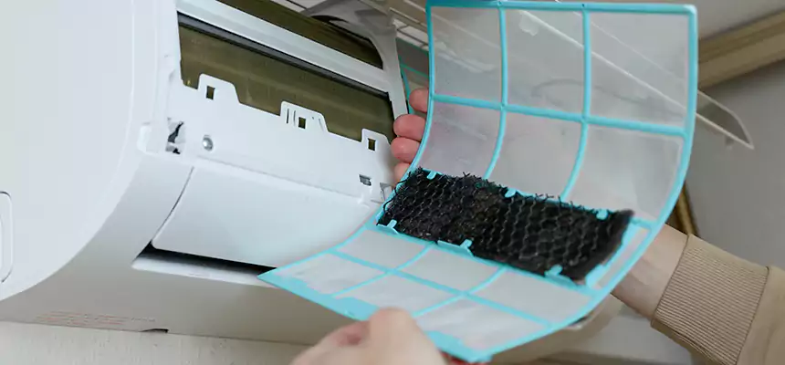 Gentle Ductwork Odor-Control Pet Dander Duct Cleaning in Cerritos, CA