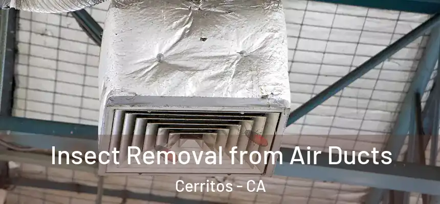  Insect Removal from Air Ducts Cerritos - CA