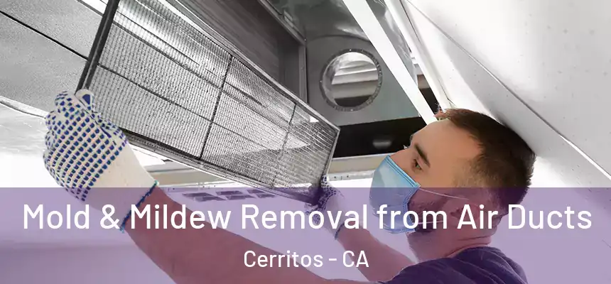  Mold & Mildew Removal from Air Ducts Cerritos - CA
