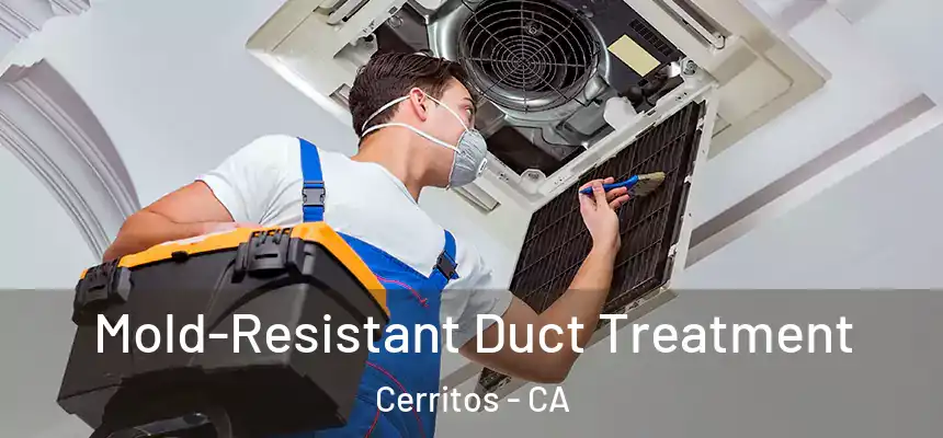  Mold-Resistant Duct Treatment Cerritos - CA