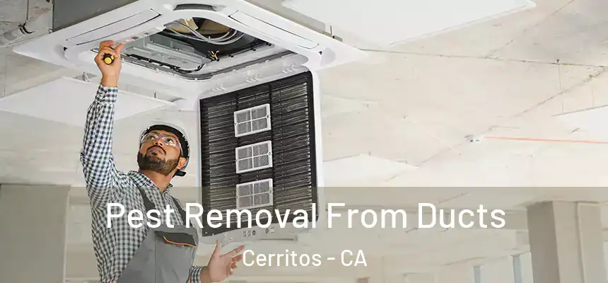  Pest Removal From Ducts Cerritos - CA