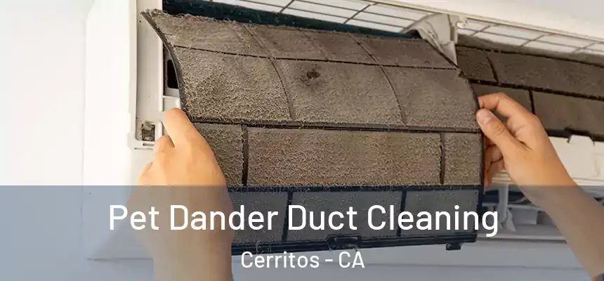  Pet Dander Duct Cleaning Cerritos - CA