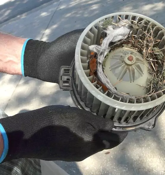 About Air Duct Mice Removal in Cerritos, CA