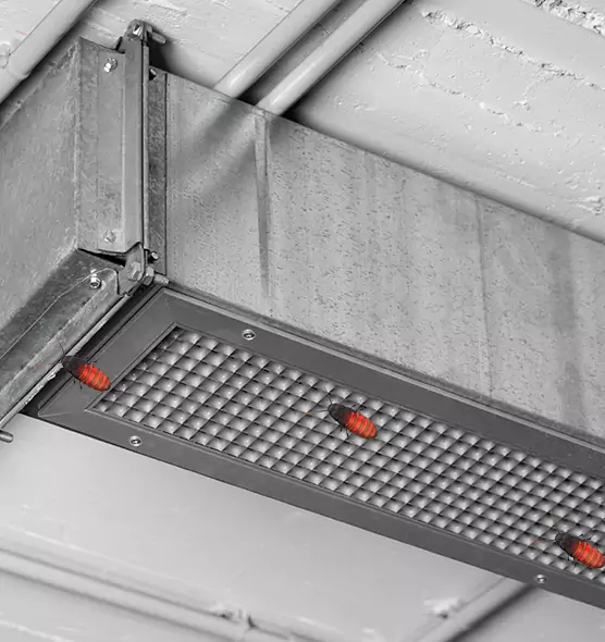 Affordable Insect Removal from Air Ducts in Cerritos, CA