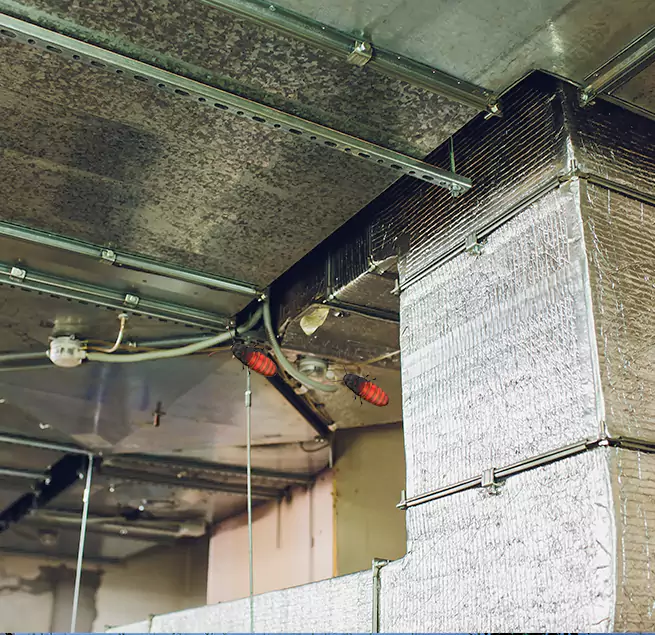 Why Homeowners & Businesses Trust Us in Cerritos, CA?