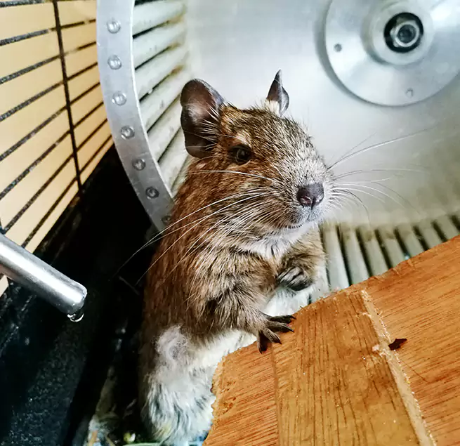 Why Homeowners & Businesses Trust Us Cerritos, CA?